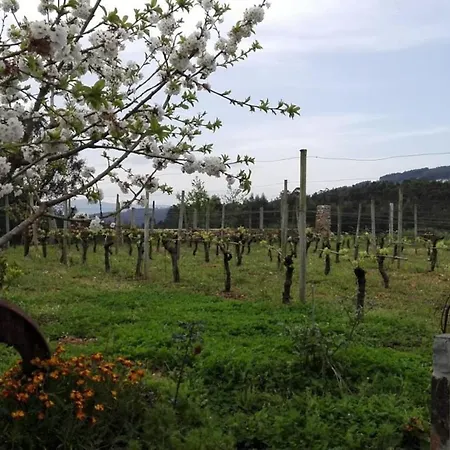 Casa Da Tileira בית נופש