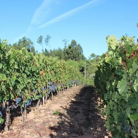 בית נופש Casa Da Tileira פנקובה