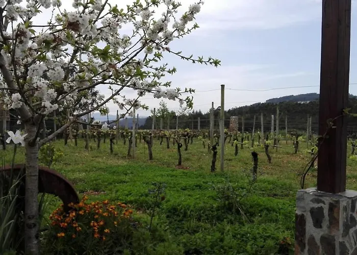 Casa Da Tileira Ferienhaus