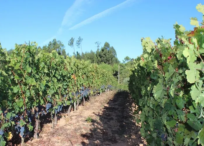 Ferienhaus Casa Da Tileira Penacova