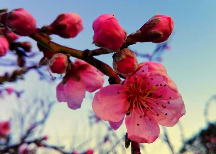 Casa Da Tileira Ferienhaus Penacova